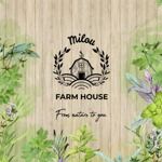 Gambar Milou Farm House Posisi Cook