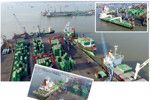 Gambar PT. Salam Pacific Indonesia Lines Posisi Surveyor Container (Surabaya)