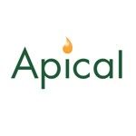 Gambar APICAL Group Posisi Tax Assistant Manager