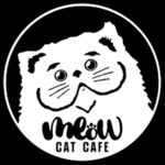 Gambar MEOW CAT CAFE Posisi Cat Sitter (Perawat Kucing)