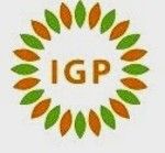 Gambar PT IGP Internasional Posisi General Affair SPV