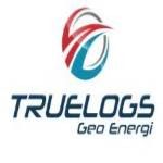 Gambar PT TRUELOGS GEO ENERGI.. Posisi Marketing Communications