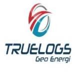 Gambar PT TRUELOGS GEO ENERGI.. Posisi PRODUCT MANAGER (IT MANAGER)