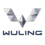 Gambar Wuling Maju Motor Posisi Sales Marketing