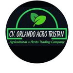 Gambar Orlando Agro Tristan Posisi SALES PRODUK ROKOK