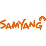 Gambar PT. Samyang Foods Indonesia Posisi Sales Analyst