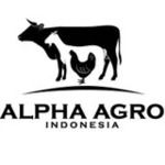 Gambar PT. Alpha Agro Indonesia Posisi Admin Accounting