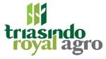Gambar PT Triasindo Royal Agro Posisi FINANCE ACCOUNTING STAFF