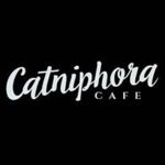 Gambar Catniphora Cafe Posisi Waiters/Waitresses