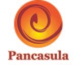Gambar PT. Pancasula Indonesia Posisi Marketing