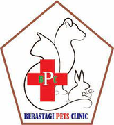 Gambar Berastagi Pet's Clinic Batam Posisi Dokter Hewan