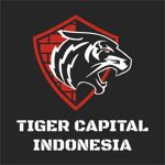 Gambar Tiger Capital Posisi Sales Project