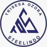 Gambar PT TRISESA OZORA STEELINDO Posisi Sales