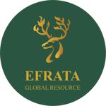 Gambar PT EFRATA GLOBAL RESOURCE Posisi Export Sales Marketing