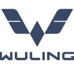 Gambar Wuling Jambi Posisi Sales Consultan