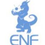 Gambar ENF Ltd. Posisi Senior Journalist / Channel Manager (Remote Work)