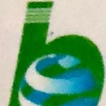 Gambar PT. Brawijaya Utama Posisi Kepala Fleet (Truk dan Alat berat)