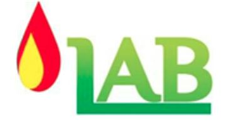 Gambar PT Leomas Anugerah Bersaudara Posisi OPERATOR LOADER/FORKLIFT