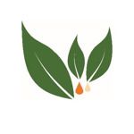 Gambar PT. TIGADAUN KAPUAS Posisi Social Security Coordinator