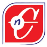 Gambar PT Nellco Posisi Senior Accountant (General/Cost) Manufacturing