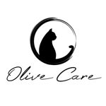 Gambar PT Olive Maju Abadi Posisi Youtube Content Creator