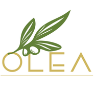 Gambar PT OLEA HIJAU ABADI Posisi Digital Marketing